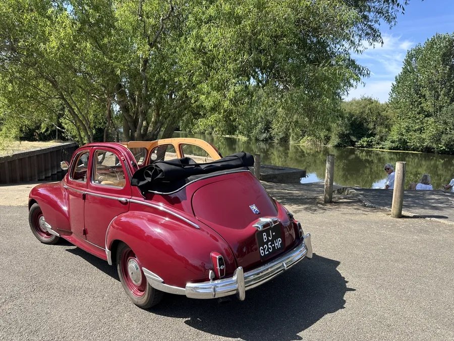 Peugeot 203 au bord de Sarthe à Arnage